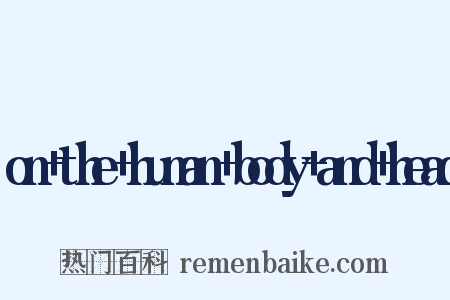 on+the+human+body+and+head是什么意思的图片